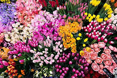 恐怖游戏《野狗子》全新截图 诡异红色面具人