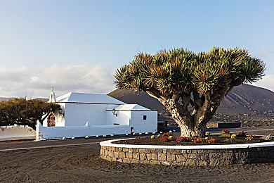 叙事冒险游戏《极圈以南》将于8月3日登录多平台